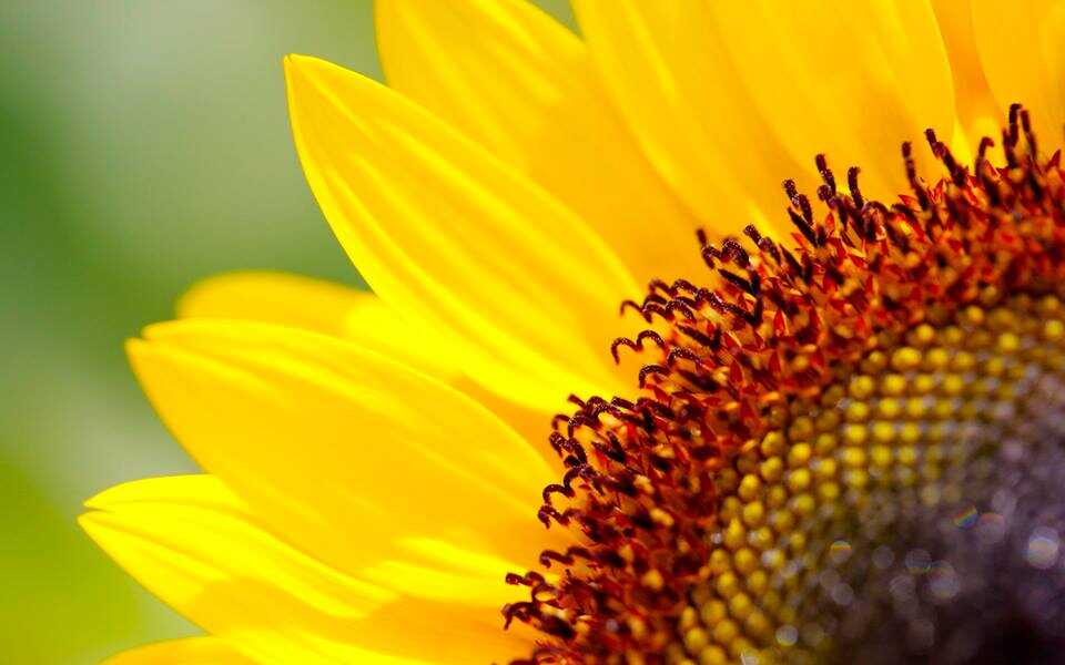 Blue Harmony Organic Salon | Prime Trade