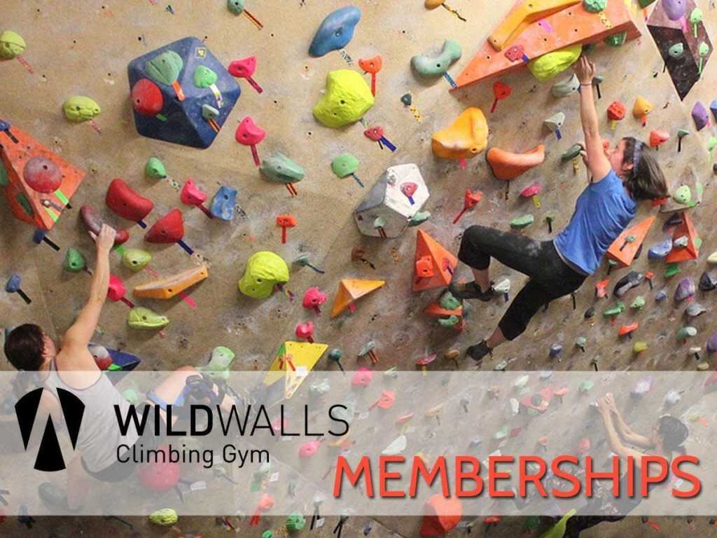 Wild Walls Climbing Gym | Prime Trade