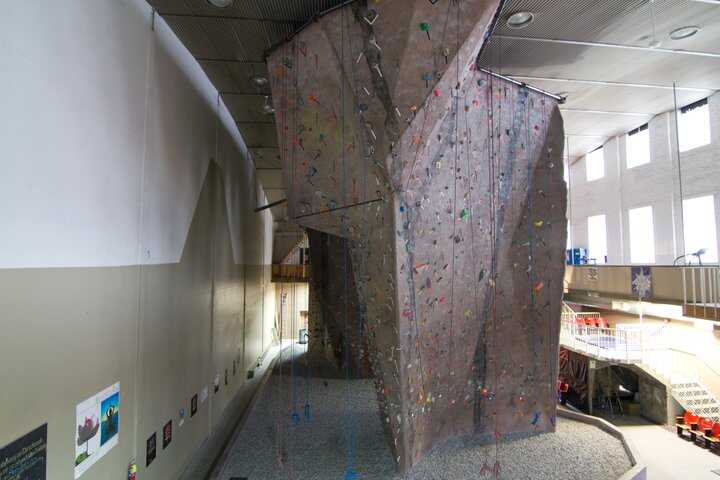 Wild Walls Climbing Gym | Prime Trade