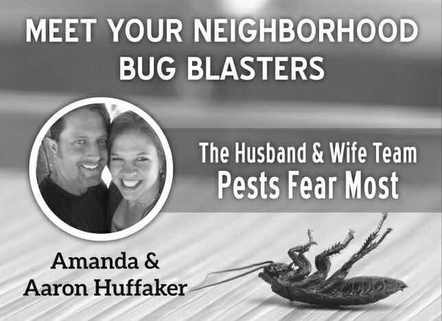 Bug Blasters | Prime Trade
