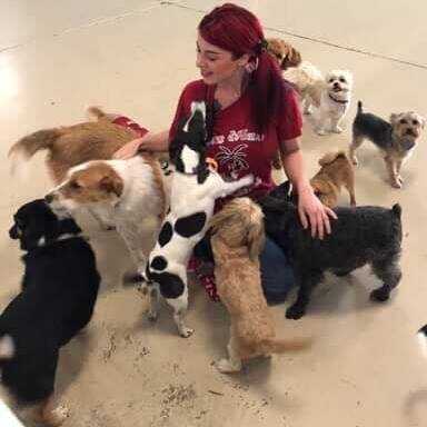 Coeur d’ Alene Pet Resort | Prime Trade