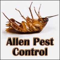 Allen Pest | Prime Trade