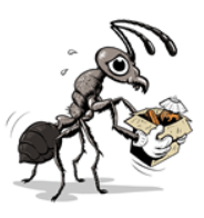 Northwest Pest | Prime Trade