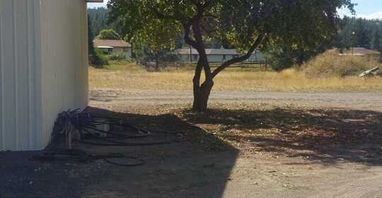 Treepro Landscape Company, LLC | Prime Trade